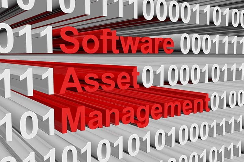 software asset management